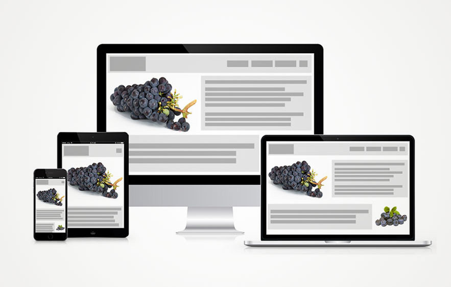 eCommerce-Web-Design