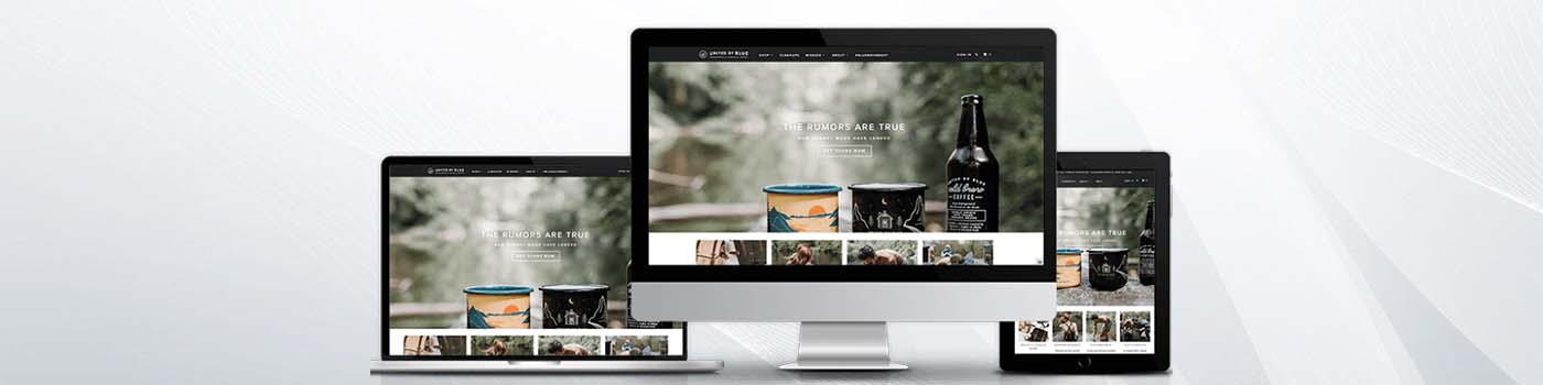 Shopify Web Design